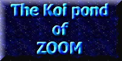 The koi pond of ZOOM 1  1 