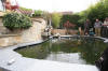 Petit bassin  koi en Alsace : les premires photos  43 