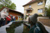 Petit bassin  koi en Alsace : les premires photos  32 