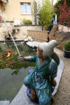 Petit bassin  koi en Alsace : les premires photos  29 