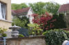 Petit bassin  koi en Alsace : la suite photos  13 