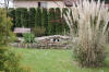 Petit bassin  koi en Alsace : photos et vido  29 