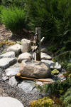 bassin a Ko dans un jardin Alsace 2007 - 2  32 