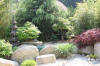 bassin a Ko dans un jardin Alsace 2007 - 3  31 