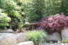bassin a Ko dans un jardin Alsace 2007 - 3  4 