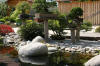 bassin a Ko dans un jardin Alsace 2007 - 5  38 