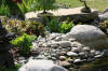 bassin a Ko dans un jardin Alsace 2007 - 5  37 