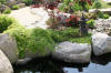 bassin a Ko dans un jardin Alsace 2007 - 5  28 