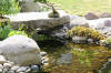 bassin a Ko dans un jardin Alsace 2007 - 5  27 