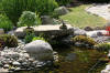 bassin a Ko dans un jardin Alsace 2007 - 5  26 