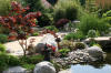 bassin a Ko dans un jardin Alsace 2007 - 5  30 
