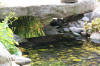 bassin a Ko dans un jardin Alsace 2007 - 5  29 