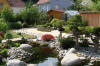 bassin a Ko dans un jardin Alsace 2007 - 5  7 