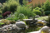 bassin a Ko dans un jardin Alsace 2007 - 5  4 