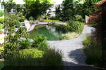 AS II Aberle - Le petit bassin plant  15 