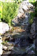 Le bassin de bandito en 2005 - Le bassin 5  36 
