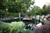 Garden party in Germany - le bassin - the pond 1  51 