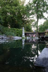 Garden party in Germany - le bassin - the pond 1  3 