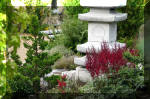 Purnod 9 un jardin japonais de rve  19 
