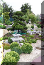 Purnod 8 un jardin japonais de rve  12 