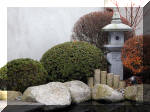 Bassin a ko et jardin Japonais Richert 1 - suite 1  5 