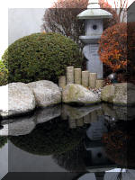 Bassin a ko et jardin Japonais Richert 1 - suite 1  9 