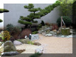 Bassin a ko et jardin Japonais Richert 1 - suite 1  8 