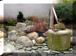 Bassin a ko et jardin Japonais Richert 1 - suite 1  10 