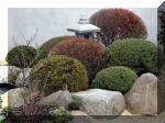 Bassin a ko et jardin Japonais Richert 1 - suite 1  13 
