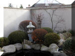 Bassin a ko et jardin Japonais Richert 1 - suite 1  23 