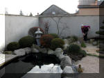 Bassin a ko et jardin Japonais Richert 1 - suite 1  20 