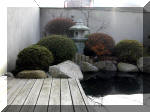 Bassin a ko et jardin Japonais Richert 1 - suite 1  27 
