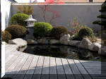 Bassin a ko et jardin Japonais Richert 1 - suite 2  6 