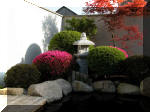 Bassin a ko et jardin Japonais Richert 1 - suite 2  4 