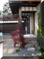 Bassin a ko et jardin Japonais Richert 1 - suite 2  5 