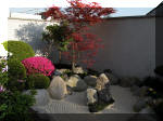 Bassin a ko et jardin Japonais Richert 1 - suite 2  10 