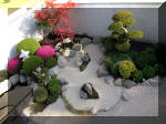 Bassin a ko et jardin Japonais Richert 1 - suite 2  13 