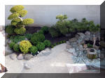Bassin a ko et jardin Japonais Richert 1 - suite 2  17 