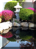 Bassin a ko et jardin Japonais Richert 1 - suite 2  28 
