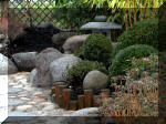 Bassin a ko et jardin Japonais Richert 2 - la rabilitation  12 