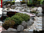 Bassin a ko et jardin Japonais Richert 2 - la rabilitation  14 