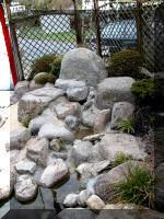Bassin a ko et jardin Japonais Richert 2 - la rabilitation  30 