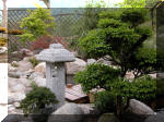 Bassin a ko et jardin Japonais Richert 2 - les finitions  7 