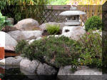 Bassin a ko et jardin Japonais Richert 2 - les finitions  14 