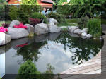 Bassin a ko et jardin Japonais Richert 2 - les finitions  26 