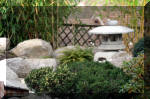 Bassin a ko et jardin Japonais Richert 2 - Amnagements  15 