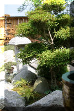 Bassin a ko et jardin Japonais Richert 2 - Amnagements  20 