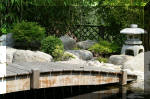 Bassin a ko et jardin Japonais Richert 2 - Amnagements  26 