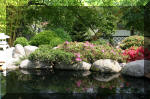 Bassin a ko et jardin Japonais Richert 2 - Amnagements  27 
