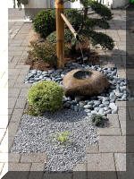 Bassin a ko et jardin Japonais Richert 3 - Le jardin Japonais  13 